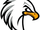 VSV Lady Hawks